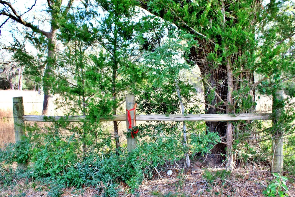 Kearney Drive Columbus, TX 78934