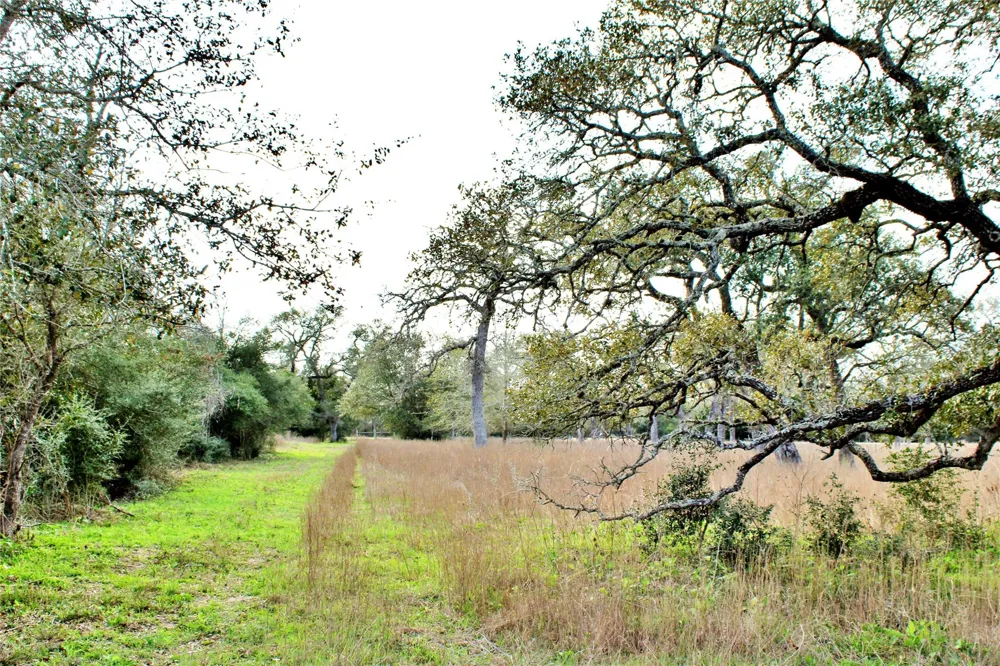 Kearney Drive Columbus, TX 78934