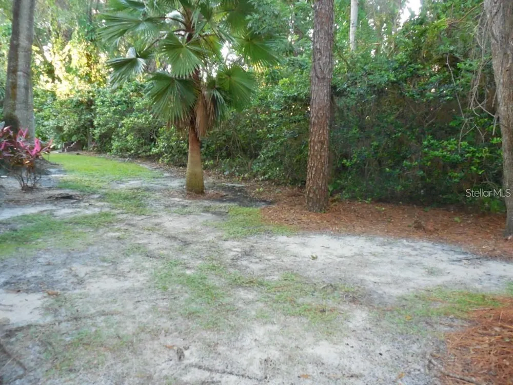 5607 67TH AVENUE #314 Pinellas Park, FL 33781