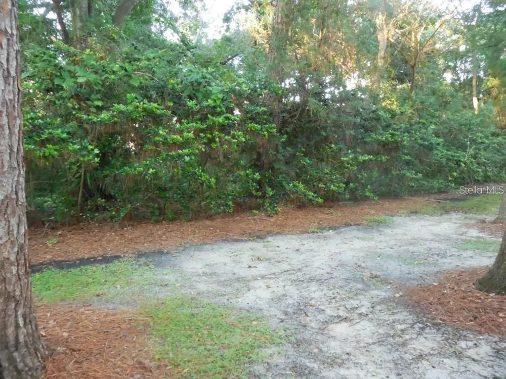 5607 67TH AVENUE #314 Pinellas Park, FL 33781