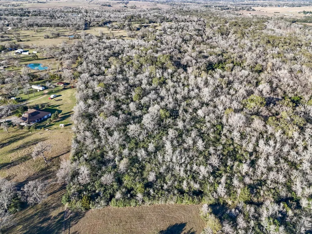 Jozwiak Prairie View, TX 77445