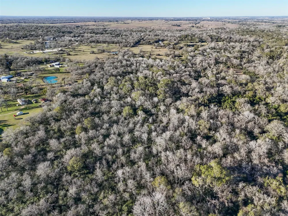 Jozwiak Prairie View, TX 77445