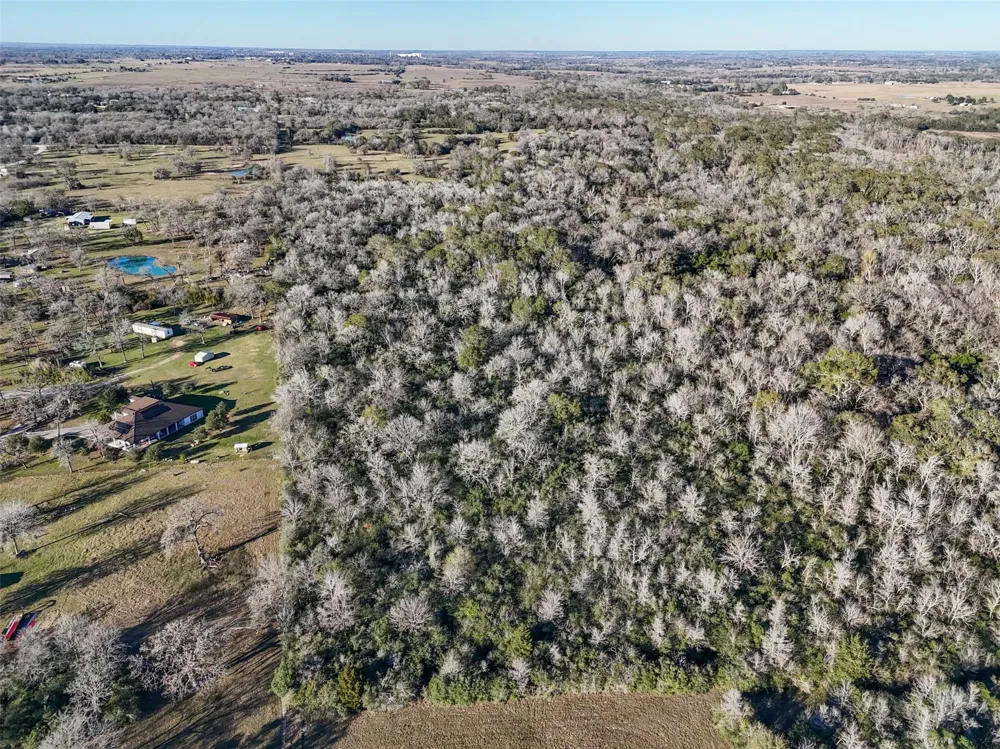 Jozwiak Prairie View, TX 77445