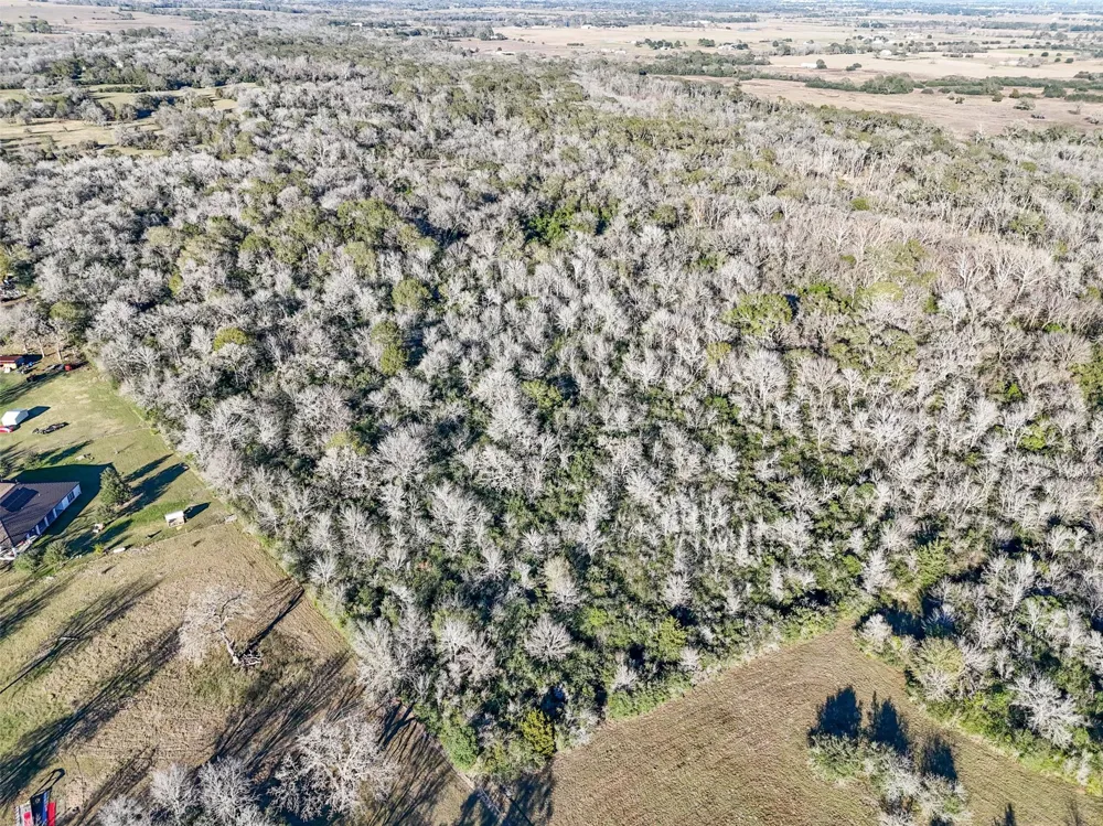 Jozwiak Prairie View, TX 77445