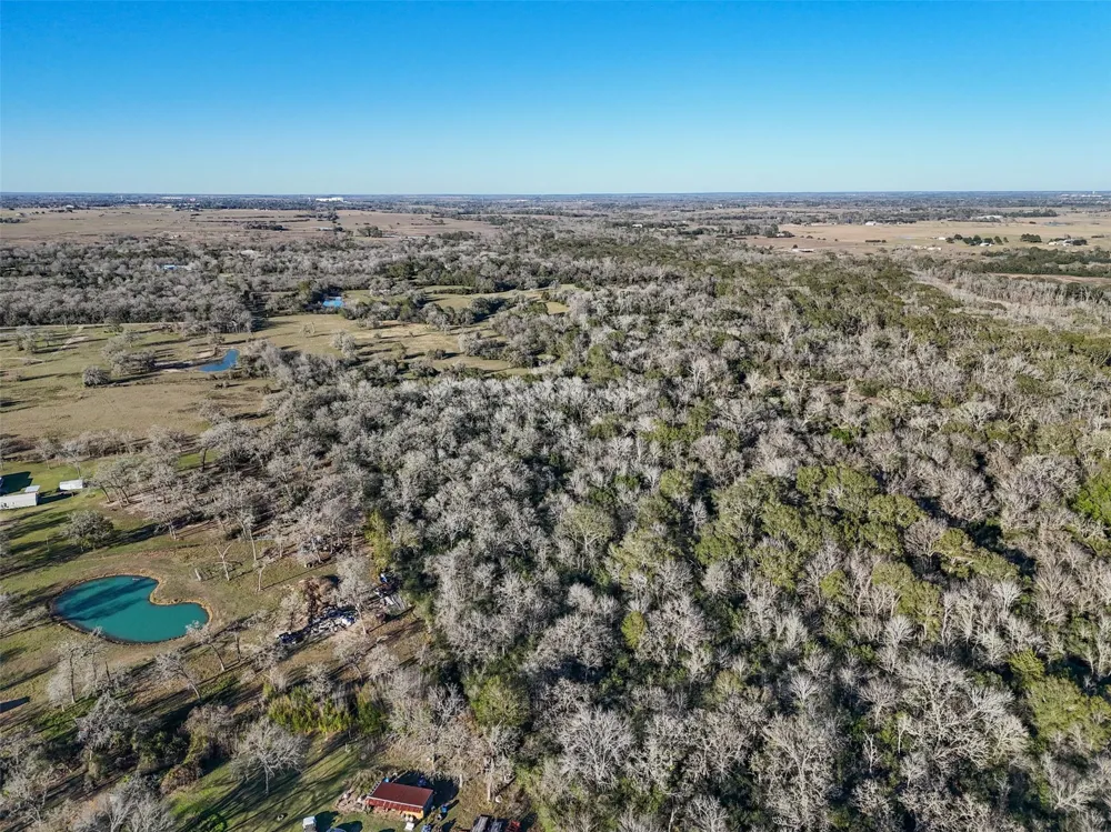 Jozwiak Prairie View, TX 77445