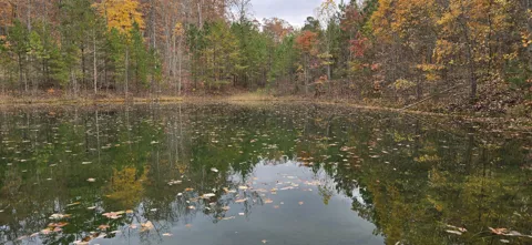 Bobcat Trail