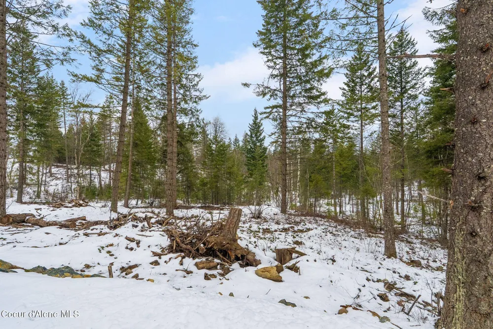 Lot 3 Settlers Lane Cocolalla, ID 83813