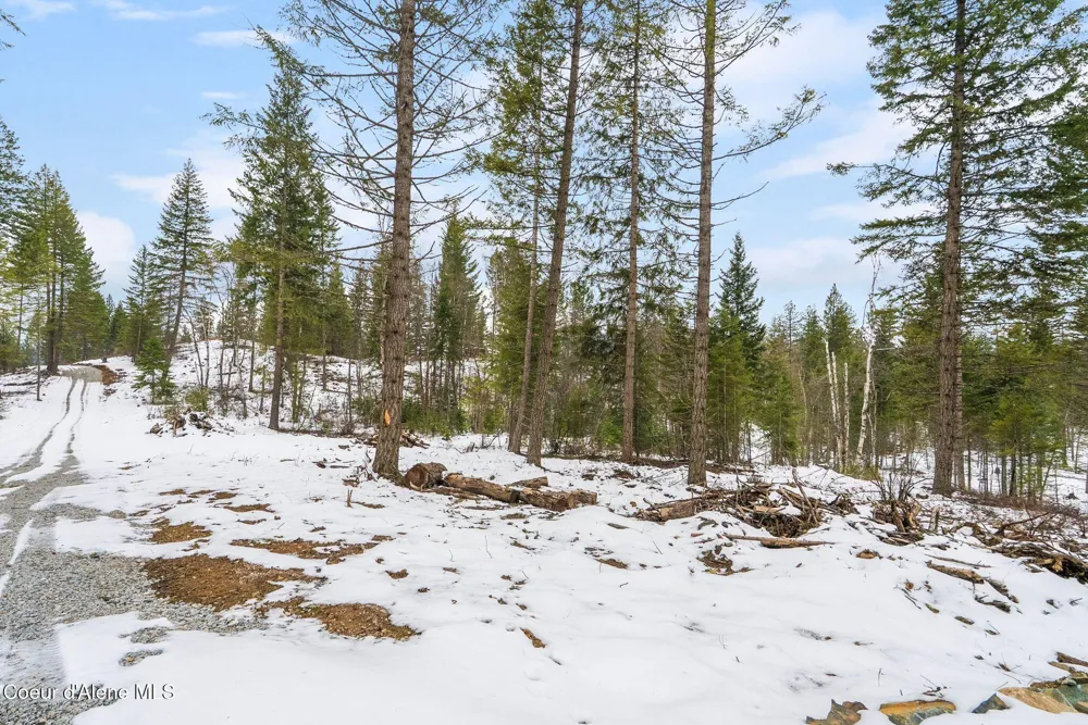 Lot 3 Settlers Lane Cocolalla, ID 83813