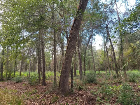27055 Sandy Creek