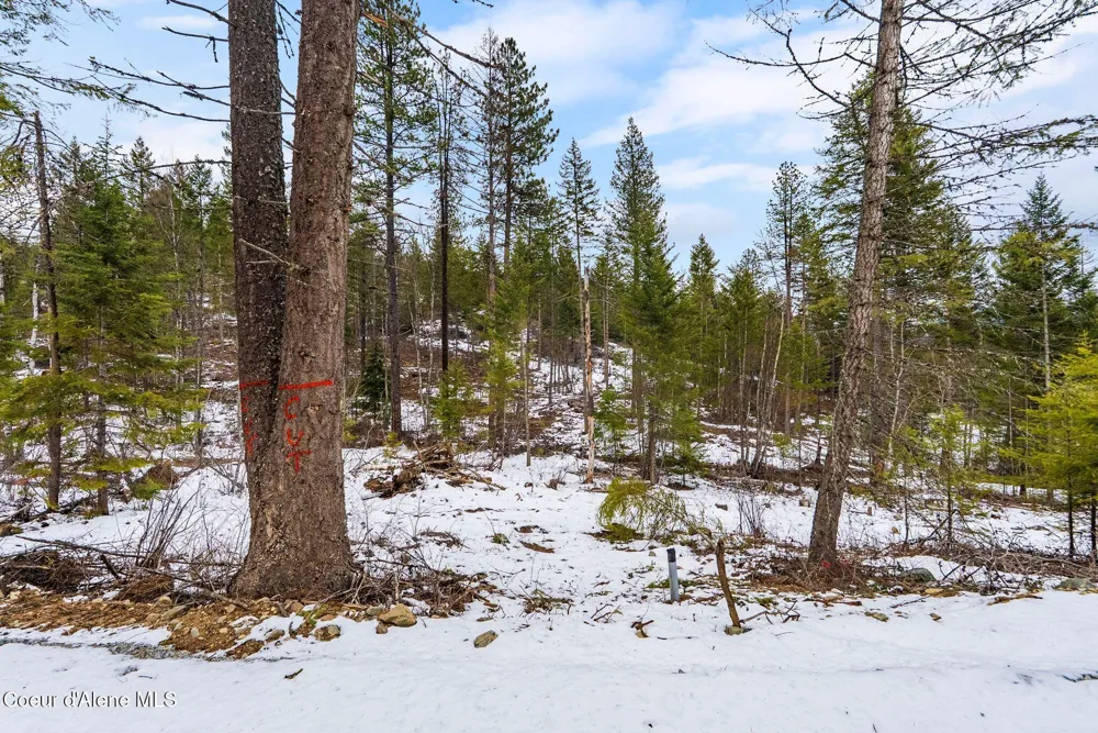 Lot 4 Settlers Lane Cocolalla, ID 83813