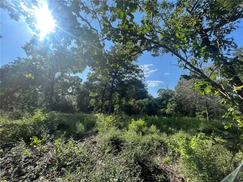 Dogwood Lane