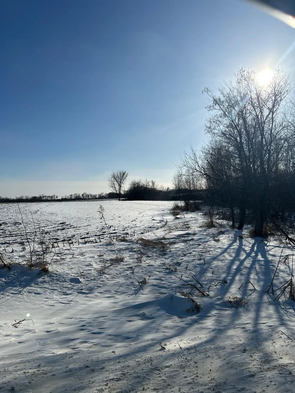 XXXX 285th (180 Acres) Street Northfield, MN 55057