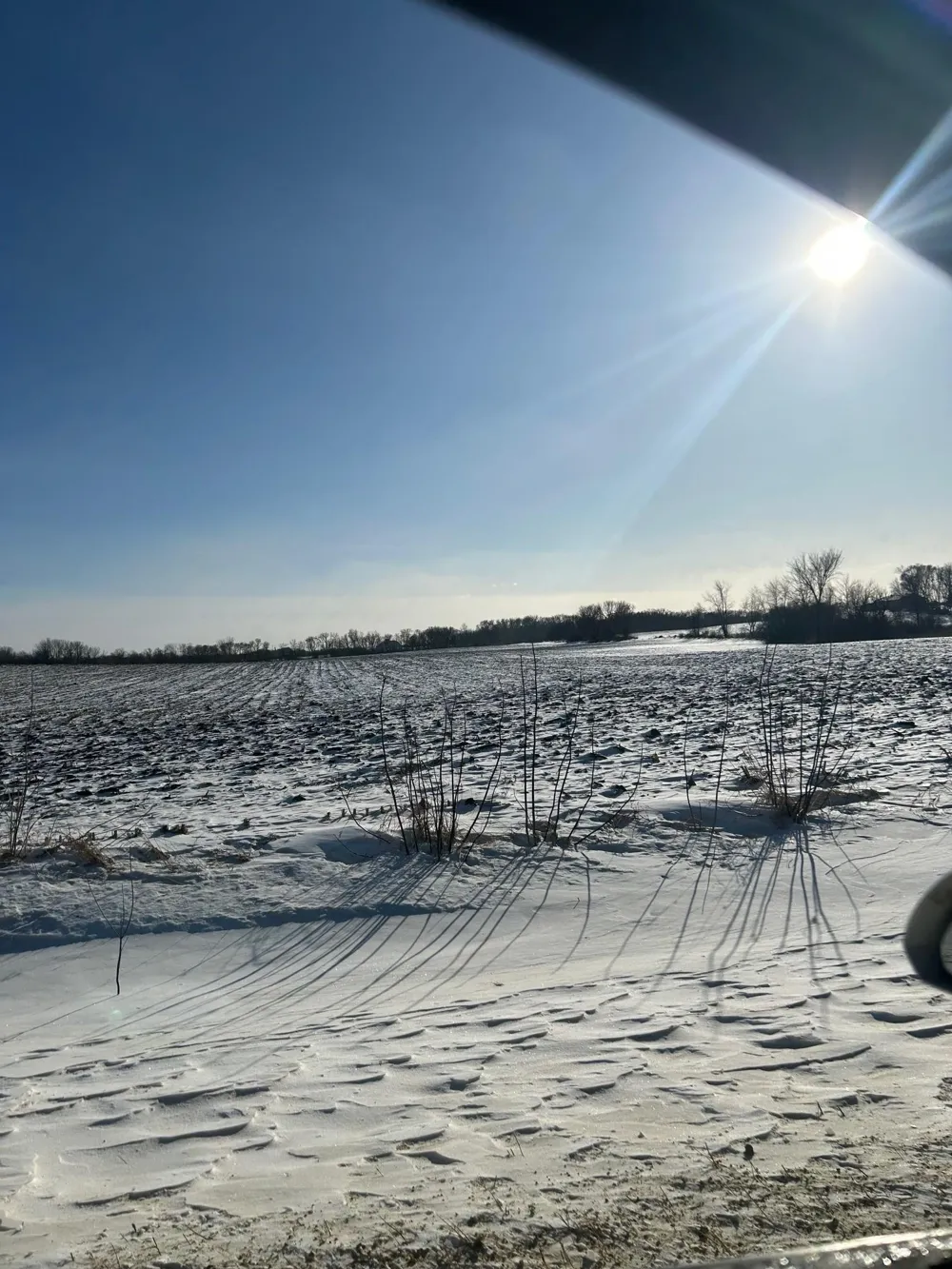 XXXX 285th (180 Acres) Street Northfield, MN 55057