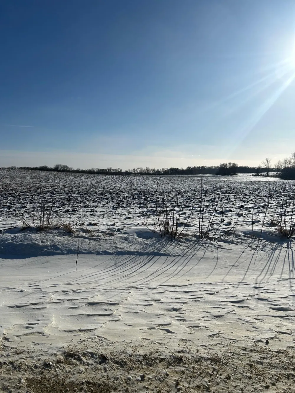 XXXX 285th (180 Acres) Street Northfield, MN 55057