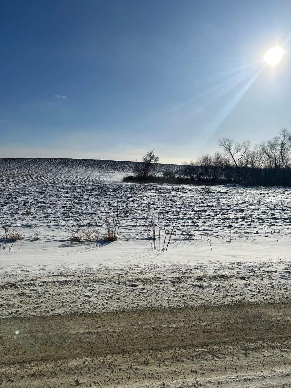 XXXX 285th (180 Acres) Street Northfield, MN 55057
