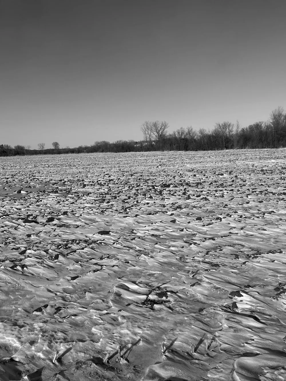 XXXX 285th (180 Acres) Street Northfield, MN 55057