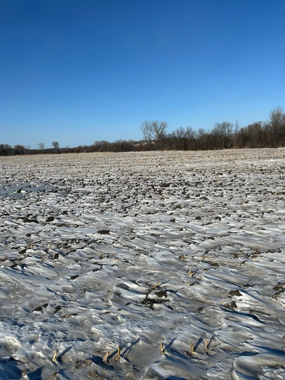 XXXX 285th (180 Acres) Street Northfield, MN 55057
