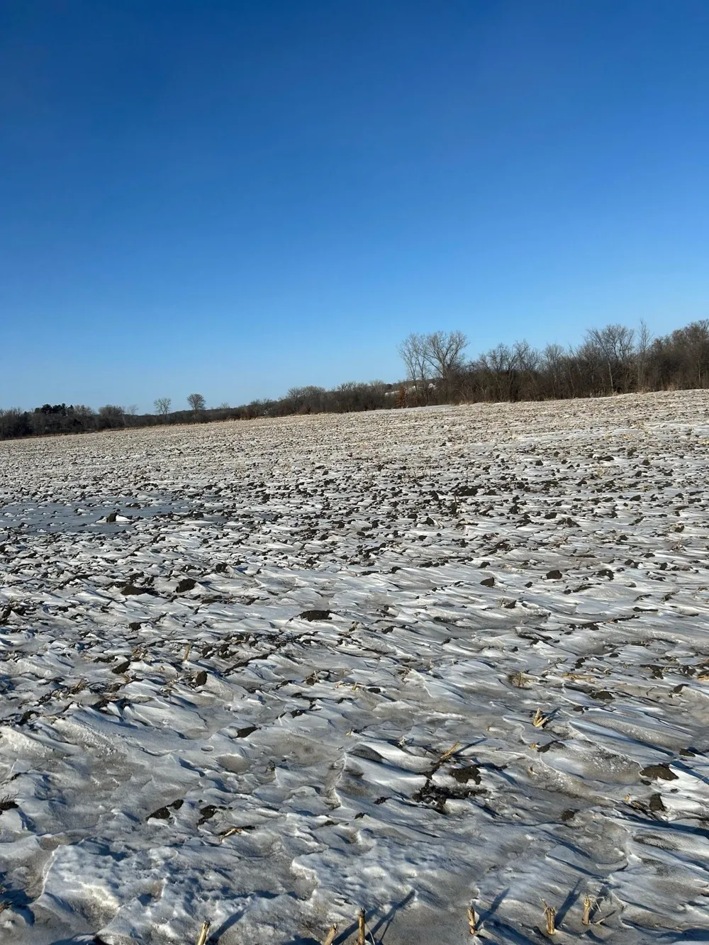 XXXX 285th (180 Acres) Street Northfield, MN 55057