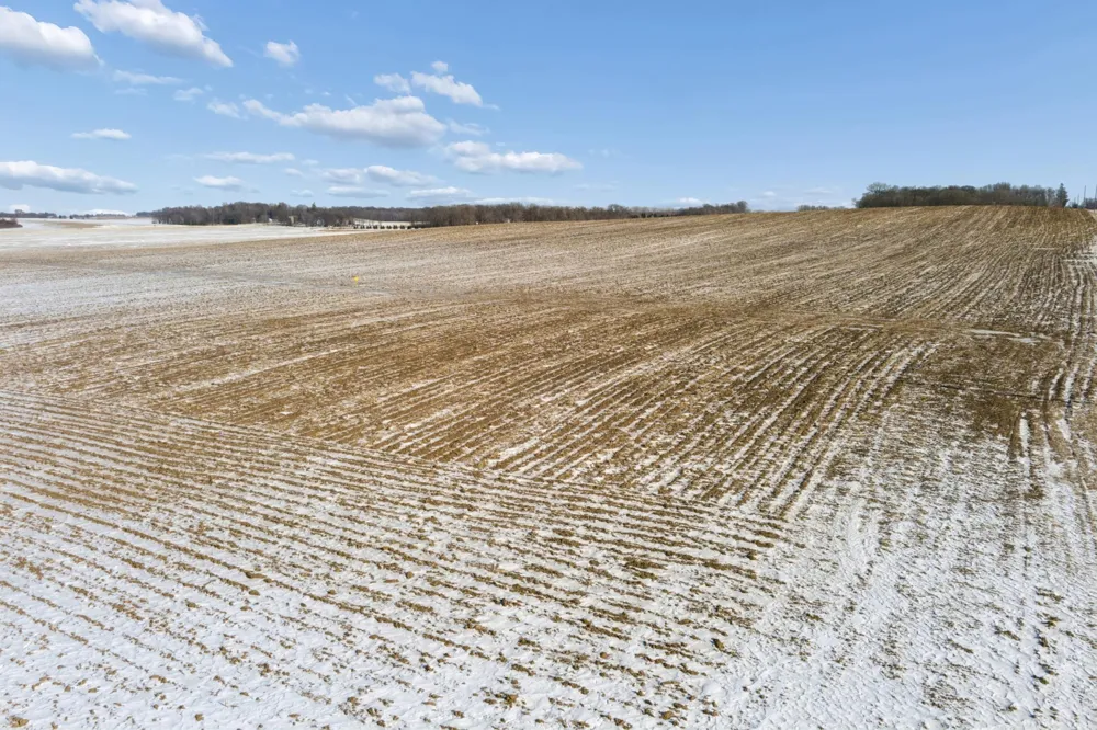XXXX 285th (180 Acres) Street Northfield, MN 55057