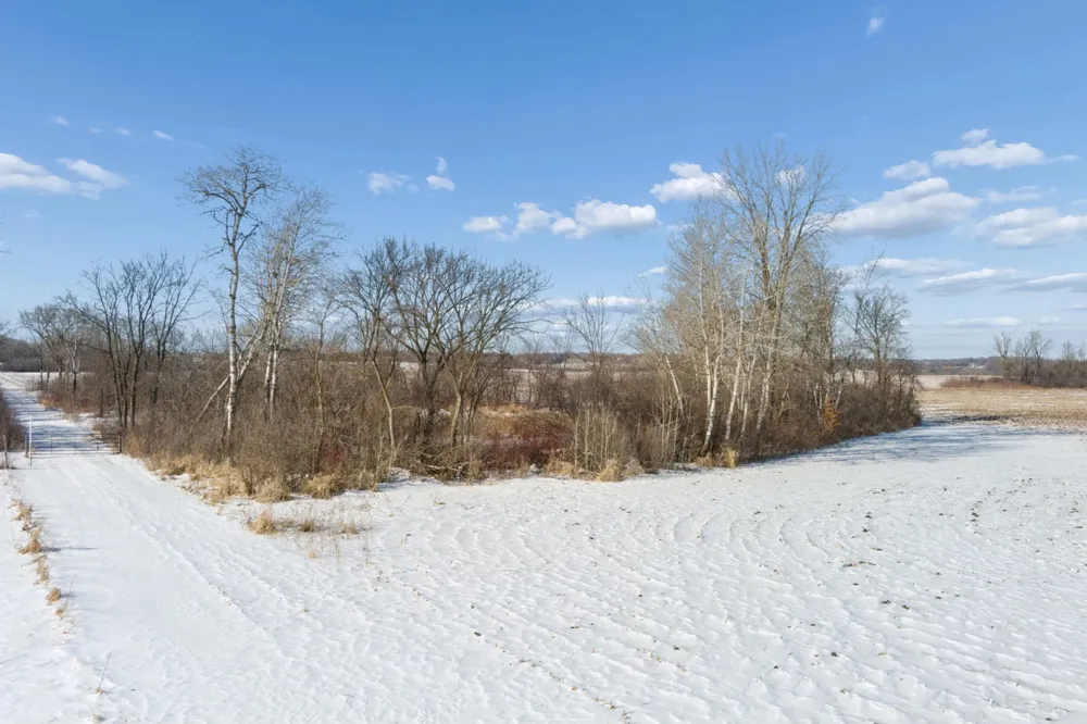 XXXX 285th (180 Acres) Street Northfield, MN 55057