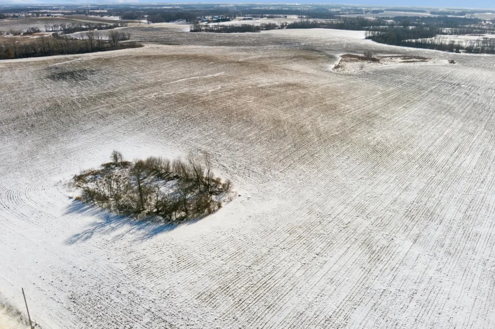 XXXX 285th (180 Acres) Street Northfield, MN 55057