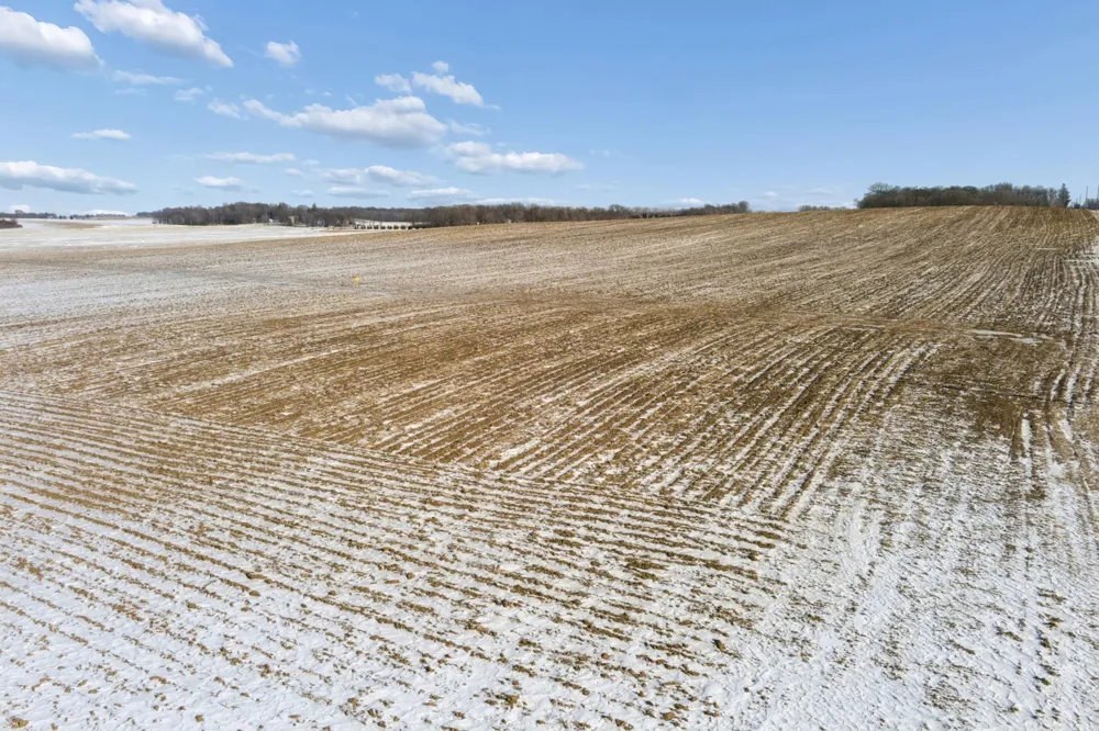 XXXX 285th (180 Acres) Street Northfield, MN 55057