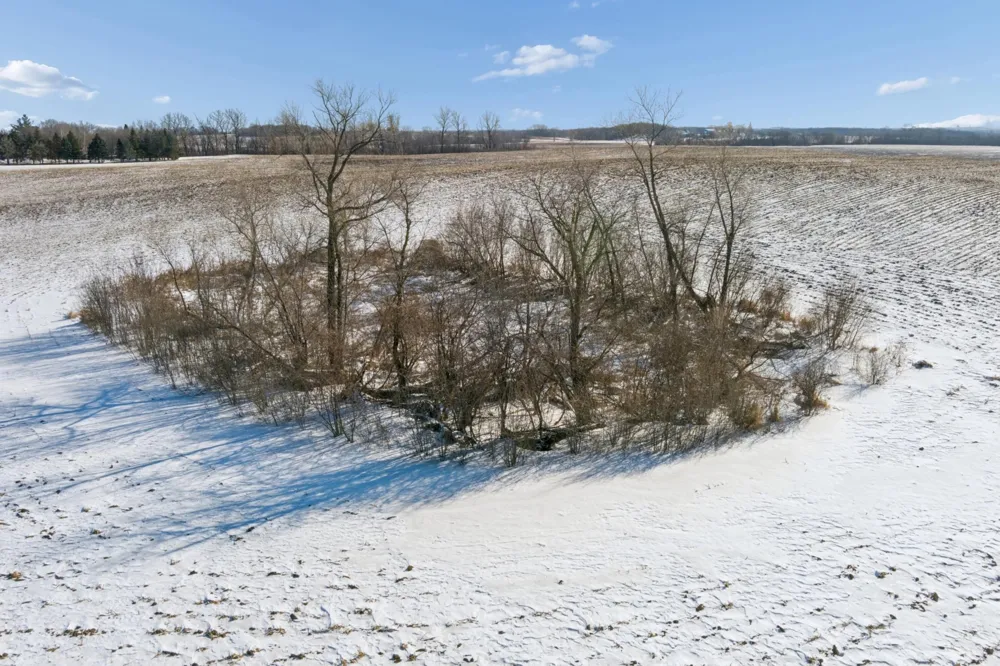 XXXX 285th (180 Acres) Street Northfield, MN 55057