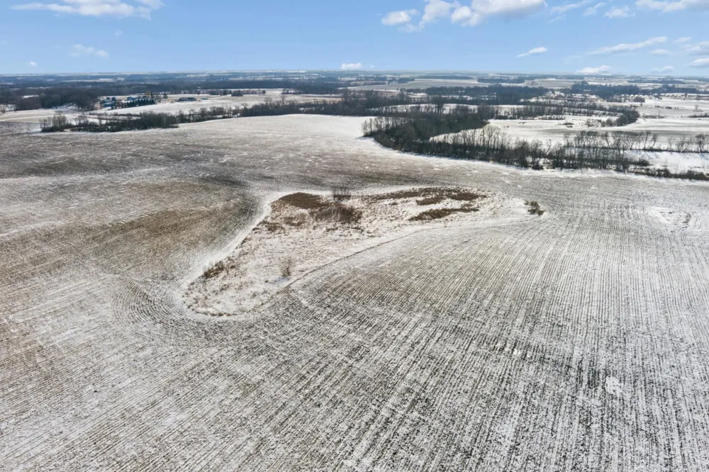 XXXX 285th (180 Acres) Street Northfield, MN 55057