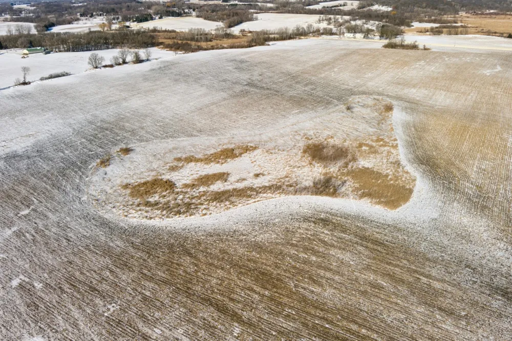 XXXX 285th (180 Acres) Street Northfield, MN 55057