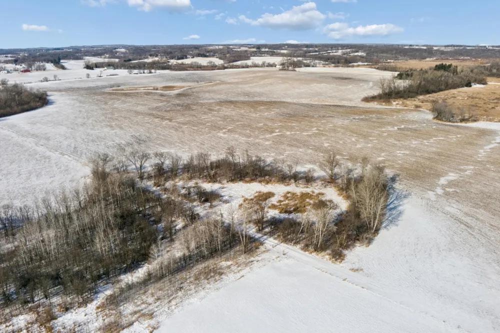 XXXX 285th (180 Acres) Street Northfield, MN 55057