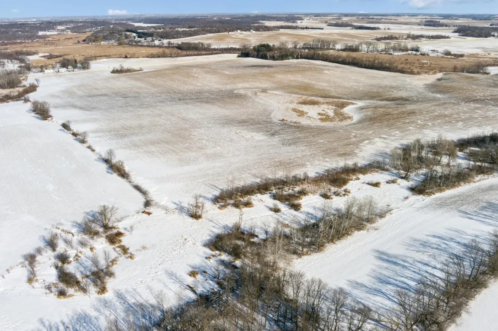 XXXX 285th (180 Acres) Street Northfield, MN 55057