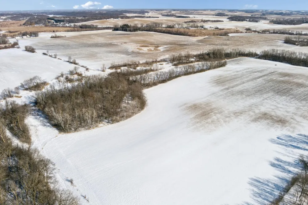XXXX 285th (180 Acres) Street Northfield, MN 55057