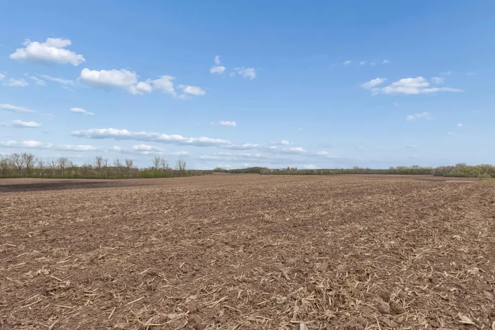 XXXX 285th (180 Acres) Street Northfield, MN 55057