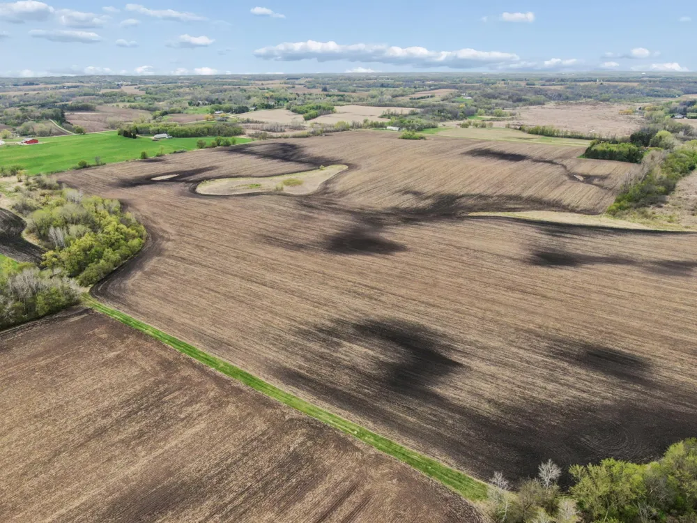 XXXX 285th (180 Acres) Street Northfield, MN 55057