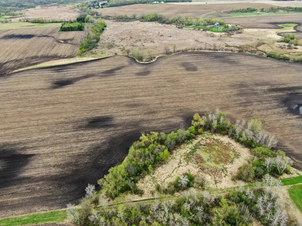 XXXX 285th (180 Acres) Street Northfield, MN 55057