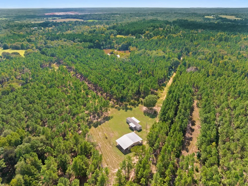 5379 CR 385 Tyler, TX 75708