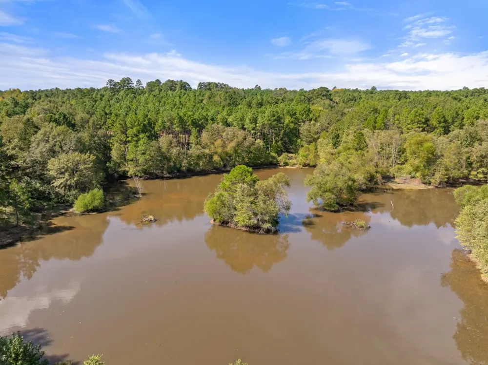 5379 CR 385 Tyler, TX 75708