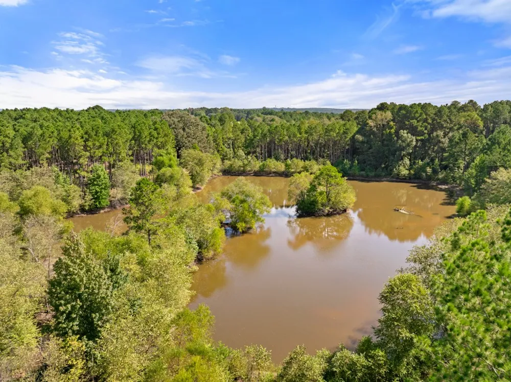 5379 CR 385 Tyler, TX 75708