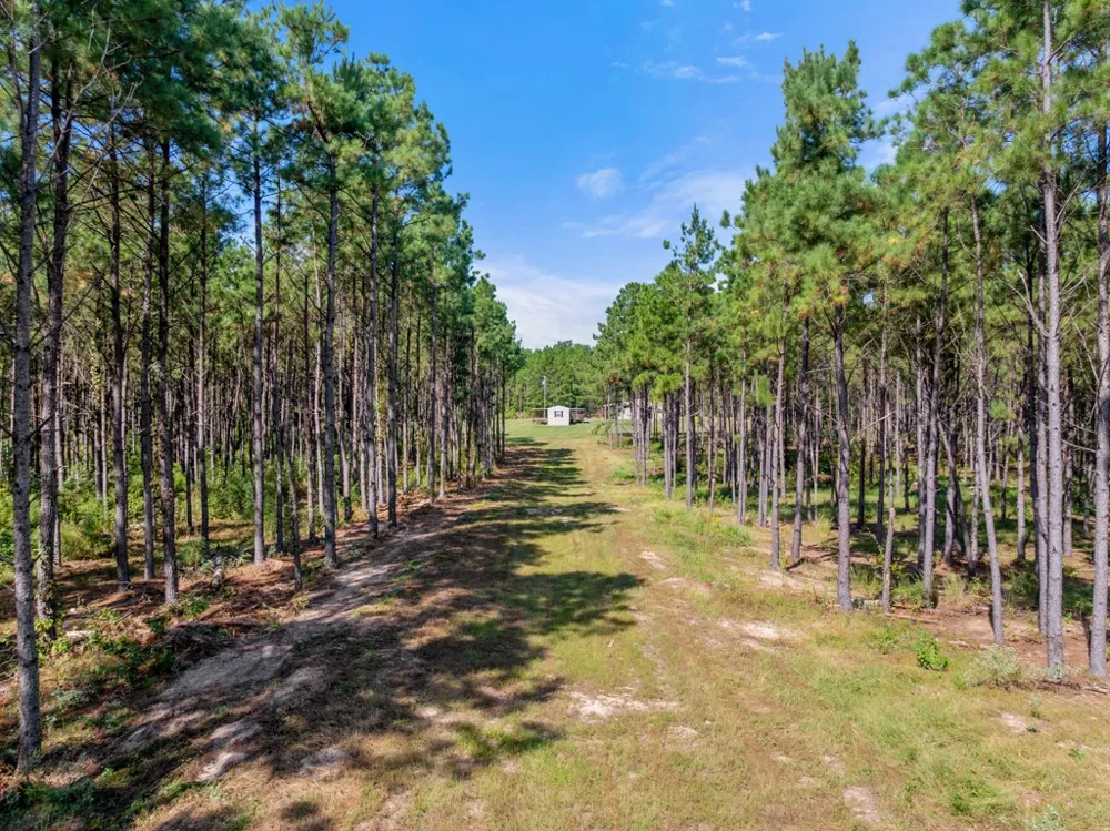 5379 CR 385 Tyler, TX 75708