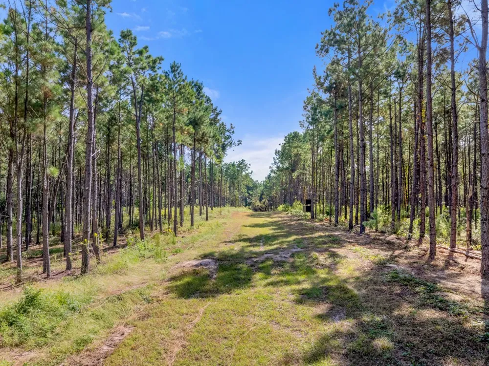 5379 CR 385 Tyler, TX 75708