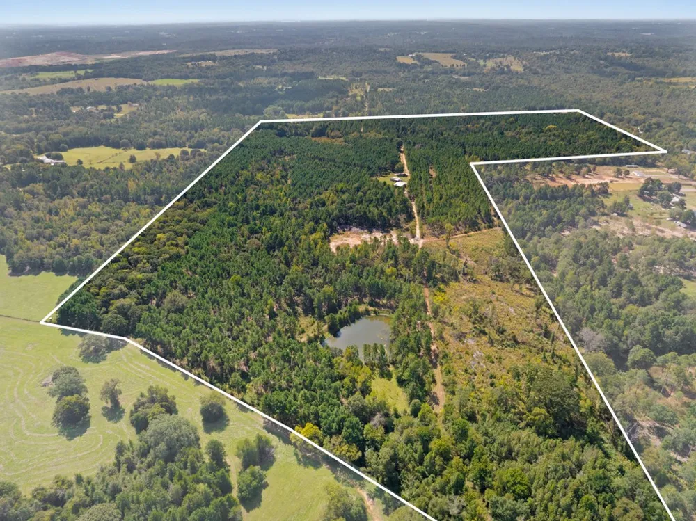 5379 CR 385 Tyler, TX 75708