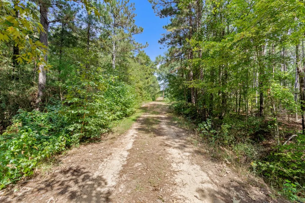 5379 CR 385 Tyler, TX 75708