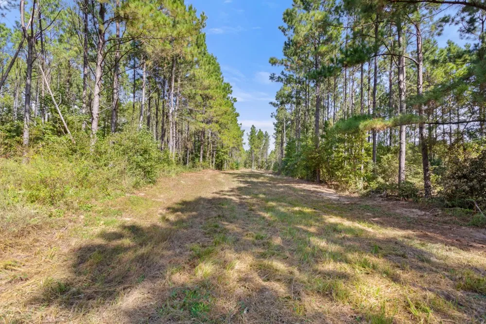 5379 CR 385 Tyler, TX 75708