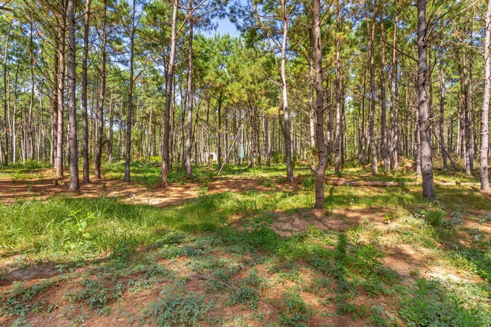 5379 CR 385 Tyler, TX 75708