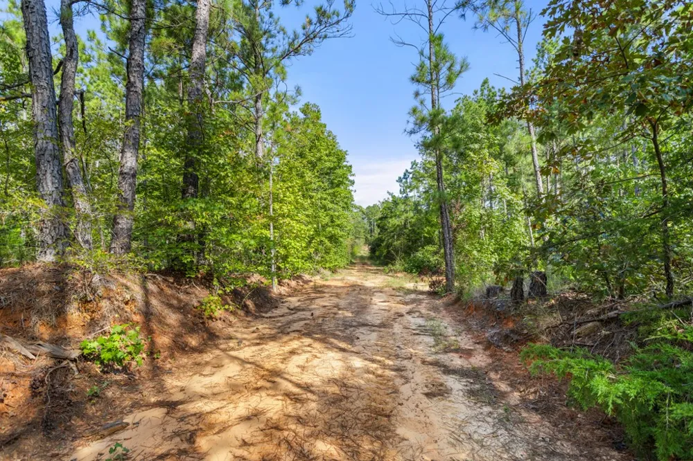 5379 CR 385 Tyler, TX 75708