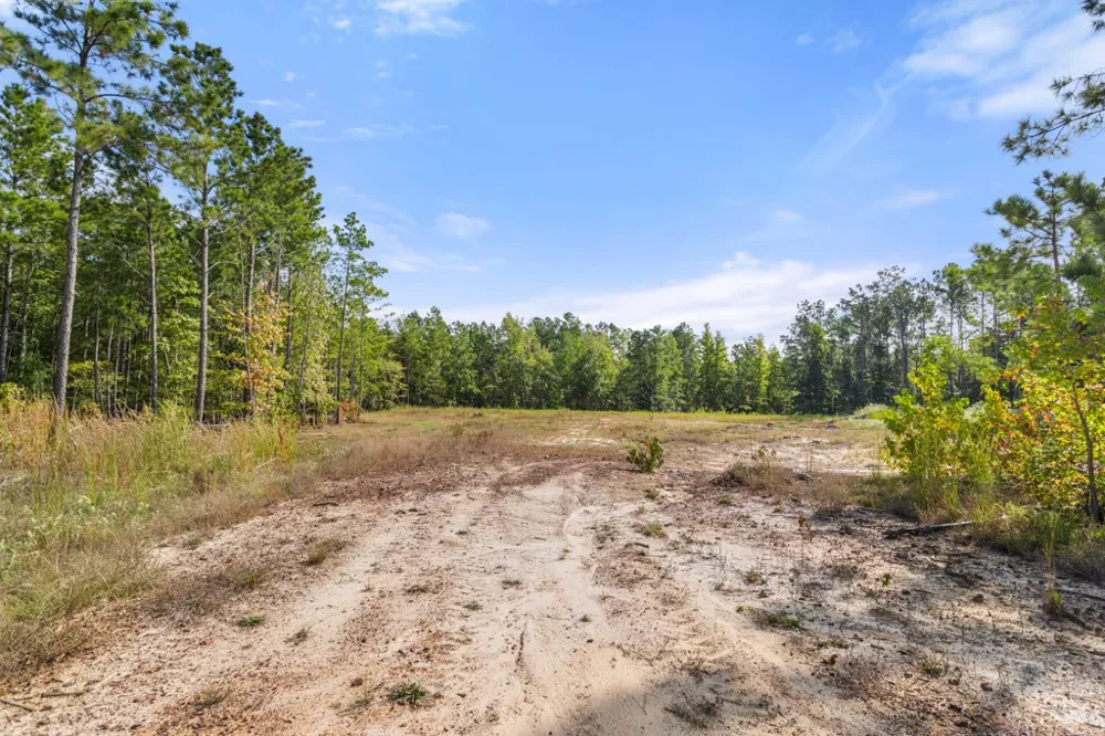 5379 CR 385 Tyler, TX 75708