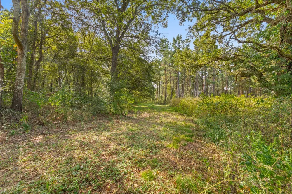 5379 CR 385 Tyler, TX 75708
