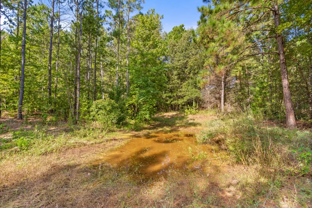 5379 CR 385 Tyler, TX 75708