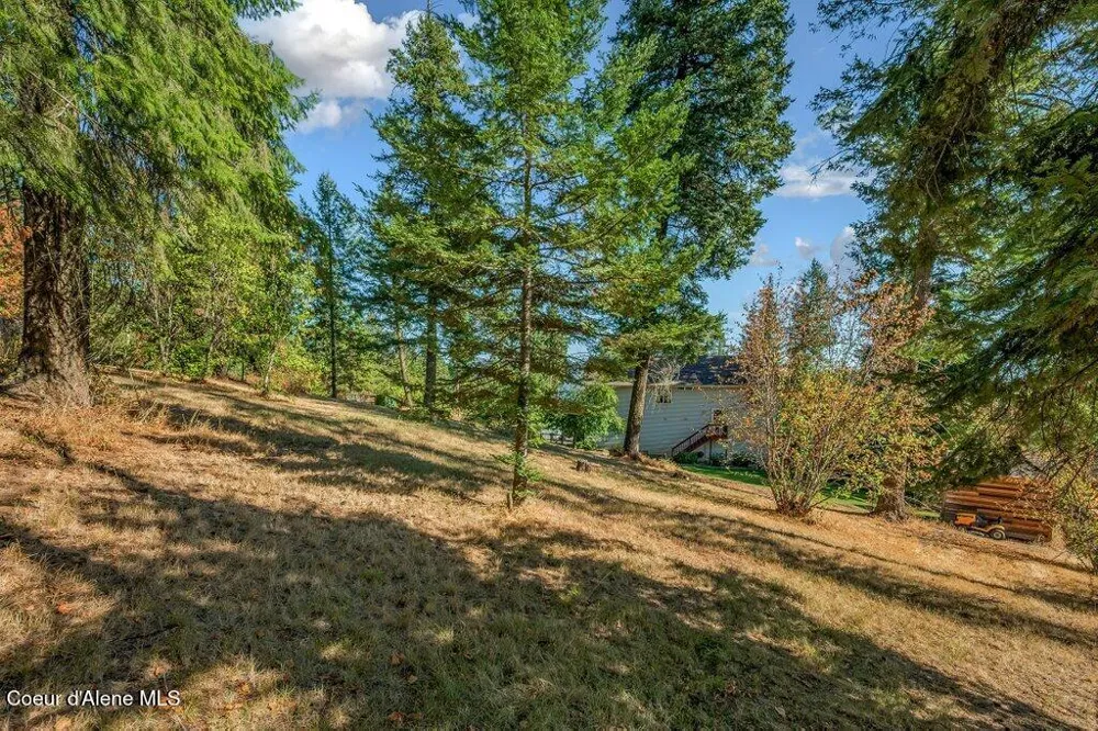 11413 Summit Loop Hauser, ID 83854