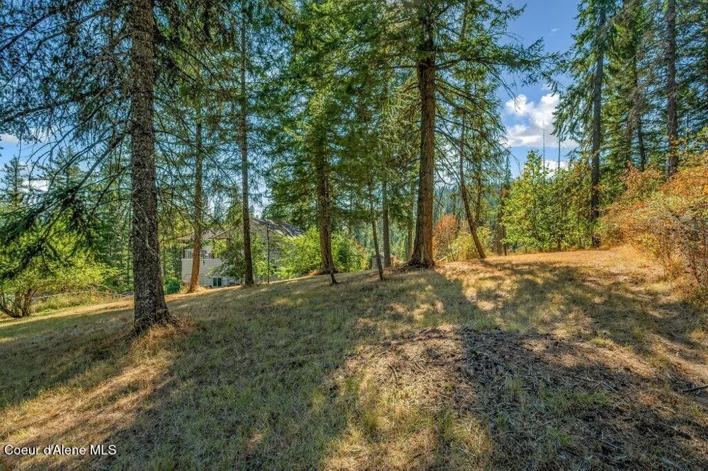 11413 Summit Loop Hauser, ID 83854